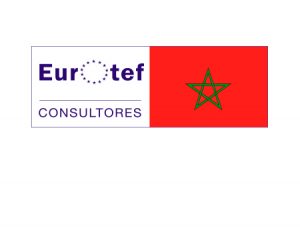 erotef consultrores logo